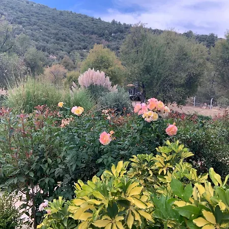 Melihaus Ξενοδοχείο με διαμερίσματα *